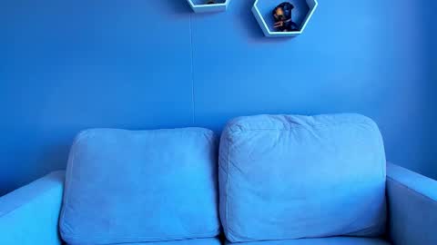 Paul Phoenix online show from 10/05/25, 08:07