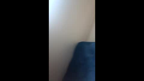 Paw online show from 12/21/24, 09:23