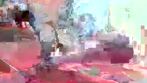 Coco channel  online show from 01/10/25, 08:29