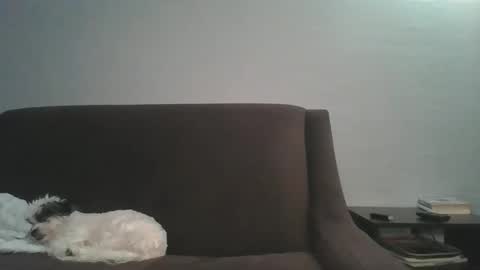 paybarbi online show from 01/16/26, 05:33