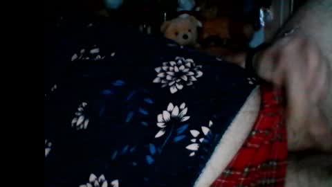 Papabear online show from 01/06/25, 08:57