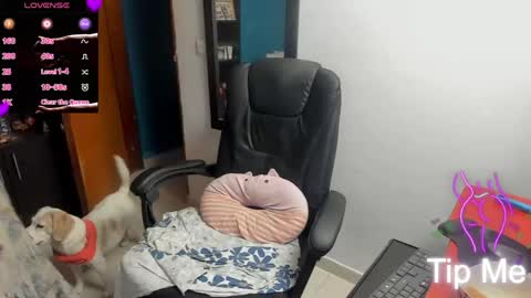 Tangerine Penaut online show from 03/12/26, 12:06