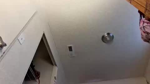 pebblessmith453 online show from 01/10/26, 10:25