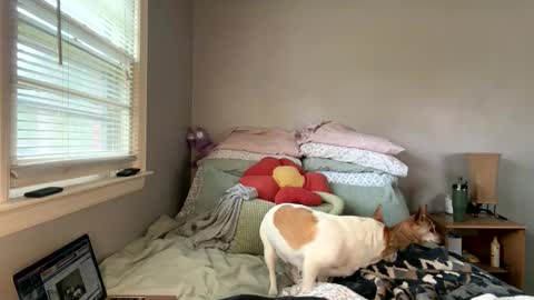 pegggggysue69 online show from 03/20/26, 07:30