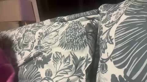 penutbutter691 online show from 11/19/25, 11:27