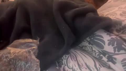 penutbutter691 online show from 02/23/26, 11:29