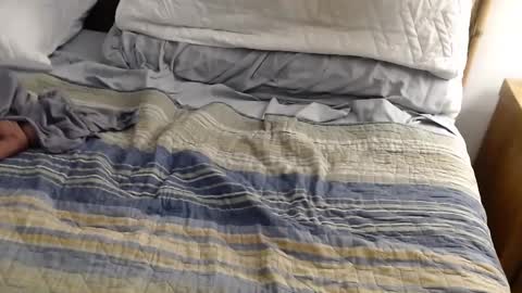 Snapshot of perdidobch chatting on 12/13/24, 01:44 perdidobch online show from 12/13/24, 01:44