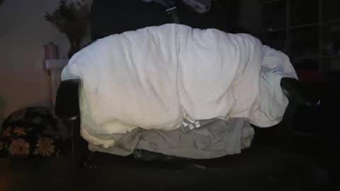 peregrintpelfox online show from 01/06/26, 07:01