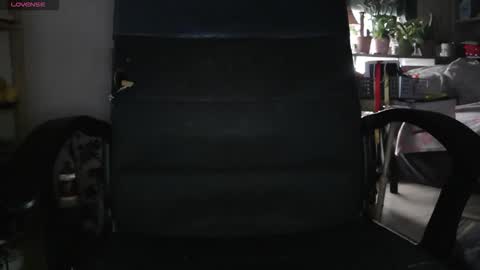 peregrintpelfox online show from 02/04/26, 09:04