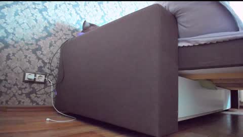 Snapshot of perfectdate chatting on 12/10/24, 09:01 Anna online show from 12/10/24, 09:01