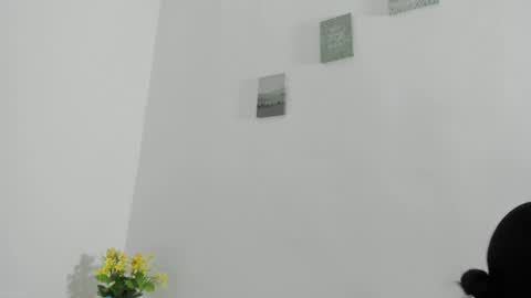 Perla mistc online show from 04/10/26, 04:44