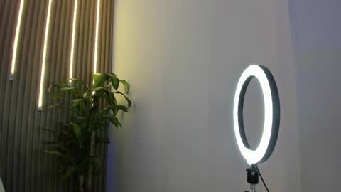 Snapshot of perlaa7 chatting on 02/03/26, 01:59 Perla online show from 02/03/26, 01:59