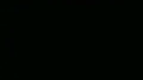 perrosoxxx online show from 01/15/25, 12:09