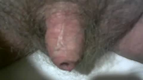 Snapshot of peterpeteropoulos chatting on 02/07/25, 09:48 peterpeteropoulos online show from 02/07/25, 09:48