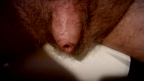 Snapshot of peterpeteropoulos chatting on 02/20/25, 07:41 peterpeteropoulos online show from 02/20/25, 07:41