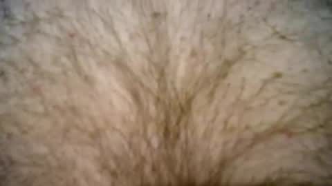 Snapshot of peterpeteropoulos chatting on 02/27/25, 07:37 peterpeteropoulos online show from 02/27/25, 07:37