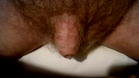 Snapshot of peterpeteropoulos chatting on 03/08/25, 09:08 peterpeteropoulos online show from 03/08/25, 09:08