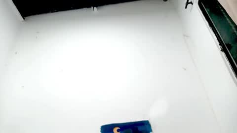 danna online show from 11/26/25, 04:57