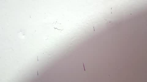 Snapshot of petiteivoryqueen chatting on 07/03/26, 03:46 danna online show from 07/03/26, 03:46