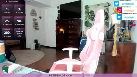 petitesage online show from 12/25/24, 11:53