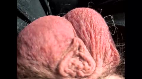 Snapshot of petrol63102 chatting on 02/22/26, 01:09 petrol63102 online show from 02/22/26, 01:09