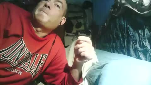 pets76 online show from 03/01/26, 04:09