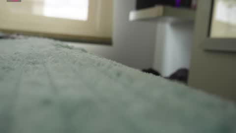 Snapshot of pettercat chatting on 01/05/25, 06:24 Pettercat online show from 01/05/25, 06:24