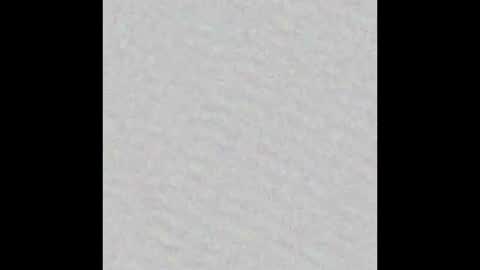 Snapshot of peytonn_monroe chatting on 10/03/25, 12:13 peytonn_monroe online show from 10/03/25, 12:13