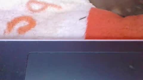 phania185885 online show from 05/08/26, 06:08