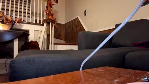 Snapshot of phatassblond chatting on 09/26/25, 03:32 PhatAssBlond online show from 09/26/25, 03:32