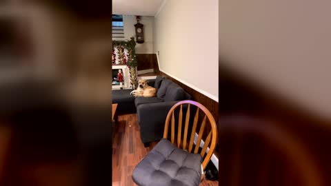 Snapshot of phatassblond chatting on 12/15/25, 03:05 PhatAssBlond online show from 12/15/25, 03:05