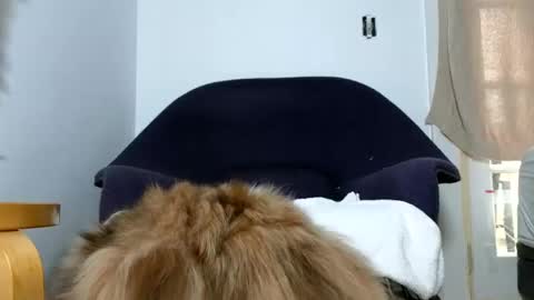 Snapshot of phattbooty80 chatting on 12/09/24, 05:52 TheSkyeWoods online show from 12/09/24, 05:52