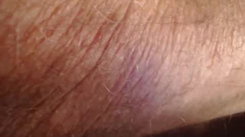 phil6369000 online show from 12/19/25, 04:47