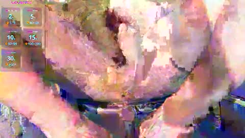 Snapshot of phil_up chatting on 01/11/26, 02:38 phil_up online show from 01/11/26, 02:38