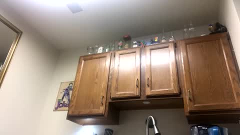 Phil online show from 02/02/25, 02:38