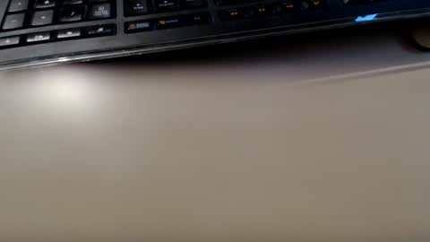 pier49x online show from 01/12/25, 03:57