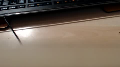 pier49x online show from 02/10/25, 03:35