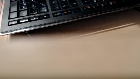 pier49x online show from 02/13/25, 01:50