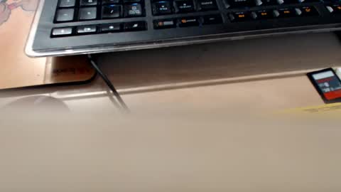 pier49x online show from 09/11/25, 01:17