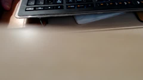 pier49x online show from 04/18/26, 02:48