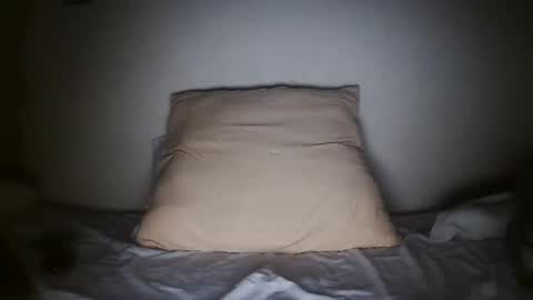 pieslatinos online show from 01/31/25, 04:14