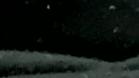 Snapshot of pilura chatting on 07/19/26, 07:34 pilura online show from 07/19/26, 07:34