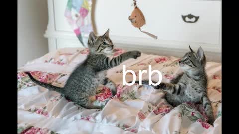 Snapshot of pink_girl0n chatting on 10/19/25, 08:42 Kitty online show from 10/19/25, 08:42