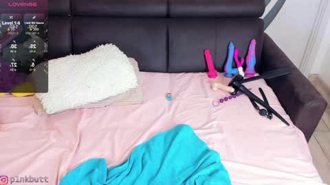 Snapshot of pinkslobber chatting on 01/16/25, 02:51 Helen Goat online show from 01/16/25, 02:51