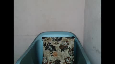 pinkyxxpussy online show from 02/08/26, 11:19