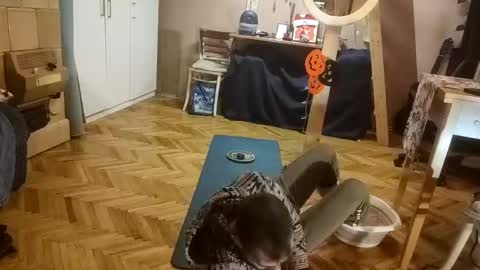 Snapshot of pisces922 chatting on 12/20/25, 12:56 Dominik online show from 12/20/25, 12:56