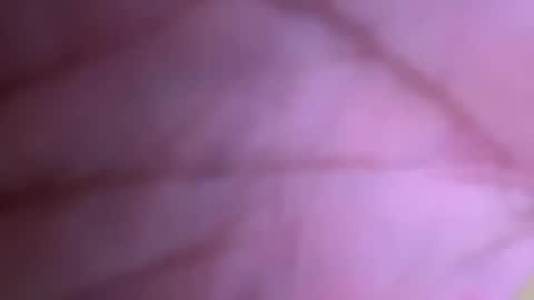 pistolpete9891 online show from 01/25/25, 08:42