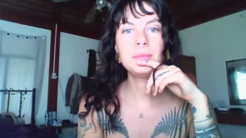 pixiecatfairy online show from 11/16/25, 02:17