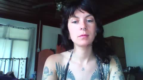 pixiecatfairy online show from 11/23/25, 03:17