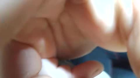 planta722 online show from 04/04/26, 07:28